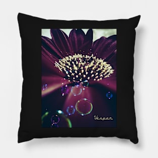 Gerbera in Maroon Pillow