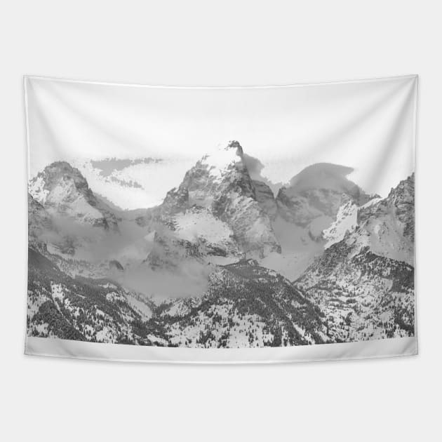 Tetons in Black and White Tapestry by StacyWhite