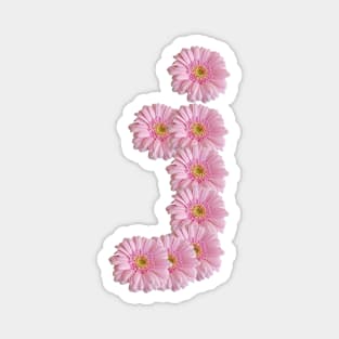 Letter j Pink Gerbera Daisy Magnet