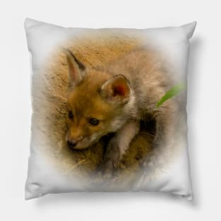 Red fox cub Pillow