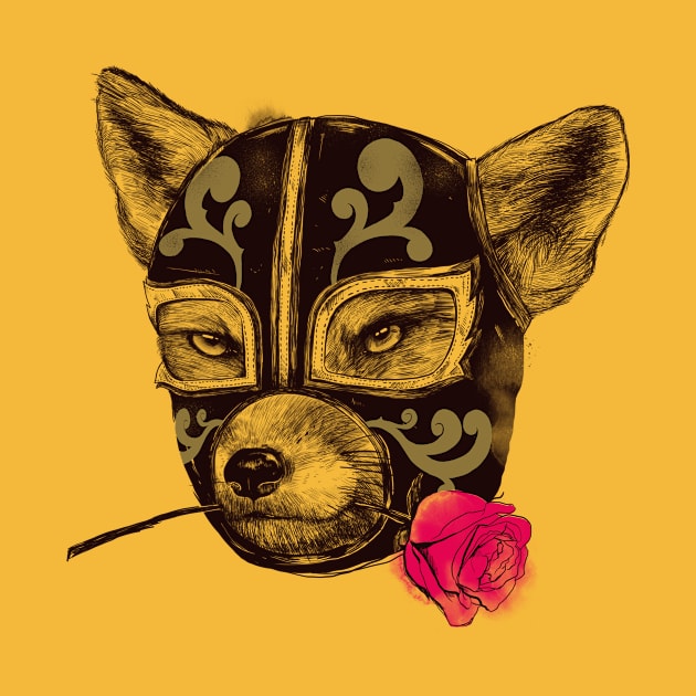 The mask of Zorro Luchador by Madkobra