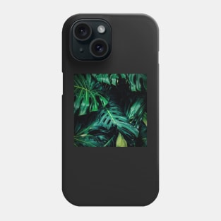 Big monstera leaves in a botanical garden Phone Case