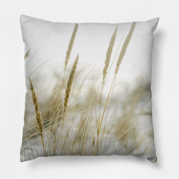 Beach grass in the dunes of the Netherlands Pillow by Melissa Peltenburg Travel Photography