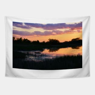 Perfect Pastel Spring Sunset Tapestry