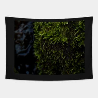 Moss Tapestry