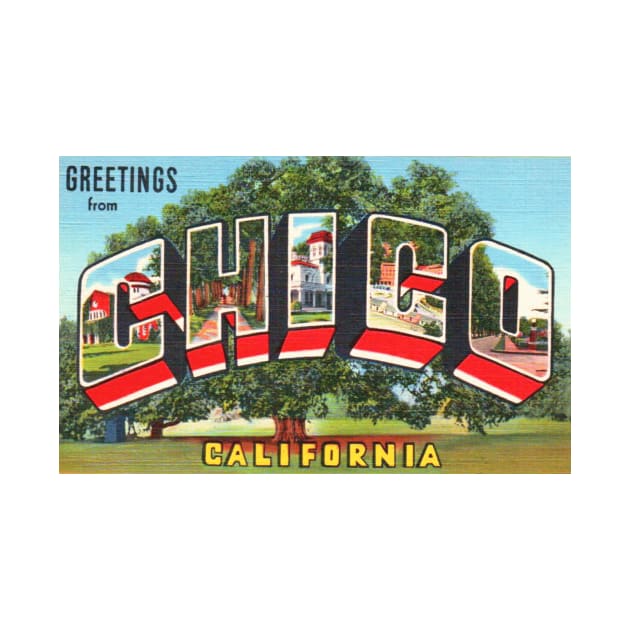 Greetings from Chico, California - Vintage Large Letter Postcard by Naves