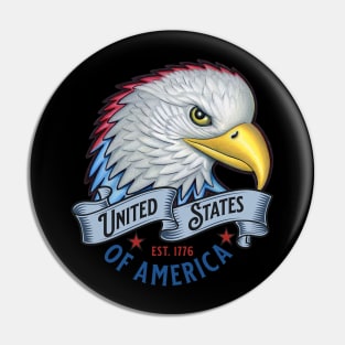 United States of America Pin