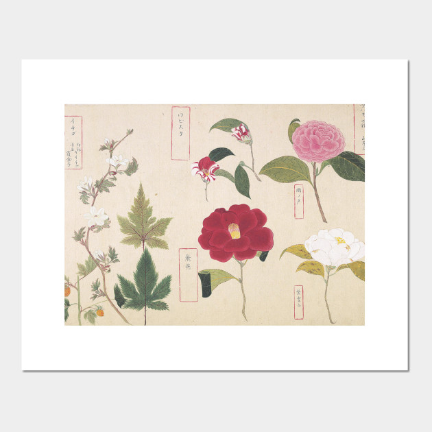 Japanese Botanical Ink And Brush Painting Hand Drawing Flowers