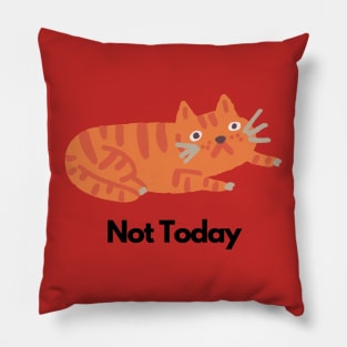 Cat funny Pillow