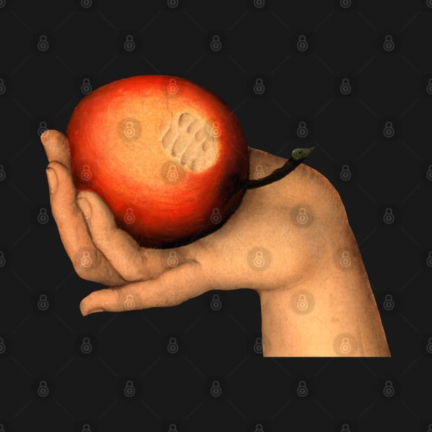 An Apple (Forbidden fruit) - Lucas Cranach by ArtOfSilentium