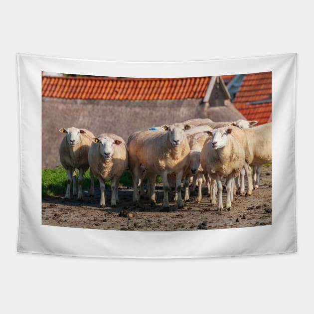 Sheep on the dike, Elsfleth Tapestry by Kruegerfoto