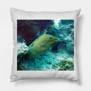 Green Moray Eel Pillow