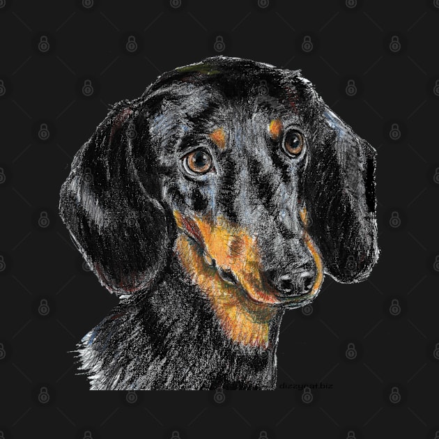 Dachshund illustration by dizzycat-biz