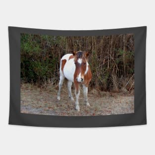 Wild horses, wildlife, Assateague, Island Babe Tapestry