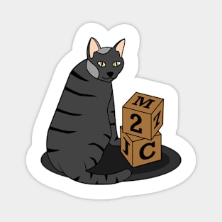 Funny black cat with cubes Magnet