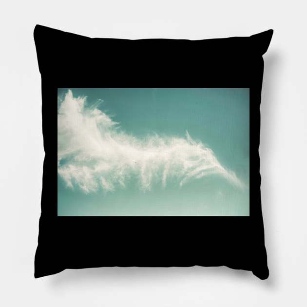 Feather Cloud Pillow by Debra Cox 