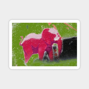 Rosaroter Elefant / Swiss Artwork Photography Magnet