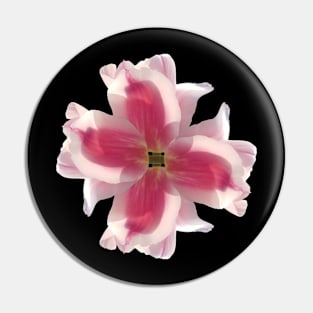 Tulip Radial Pin