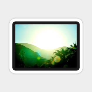 Palm Spring Sunset Magnet