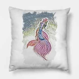 Siamese fighting fish (Betta splendens) / BETTA Pillow