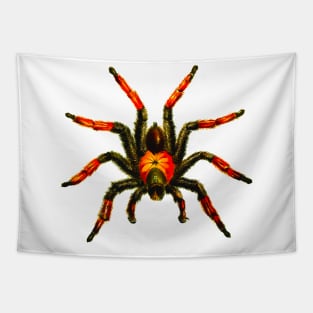 Araneae spider Tapestry