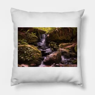 Long exposure of Trillium Falls Pillow