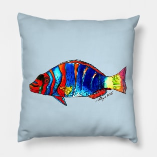 "Harlequin Tuskfish" Pillow