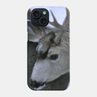 Oh Deer! Phone Case