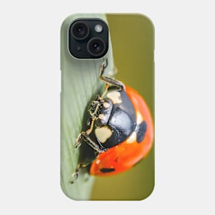 Ladybug Macro Photograph Phone Case