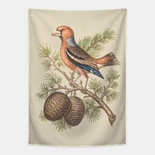 Grosbeak Bird Illustration Tapestry