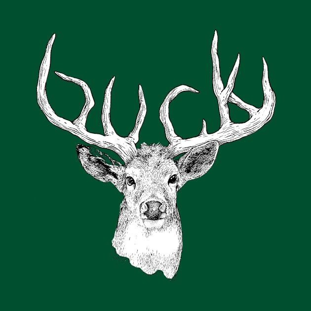 BUCK by evrentural