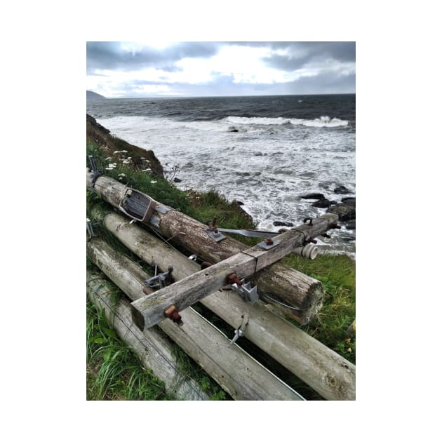 A stack of telegraph poles acting as a barrier, Kintyre, Scotland by richflintphoto