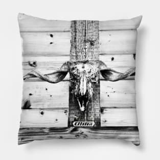 Teufel I / Swiss Artwork Photography Pillow