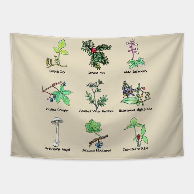 Posions Identification Tapestry by ThisIsNotAnImageOfLoss