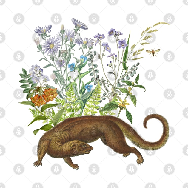 OTTER IN THE GARDEN by Biophilia