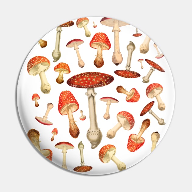 Fly Agaric Mushrooms, Pin by TheGrinningSkull