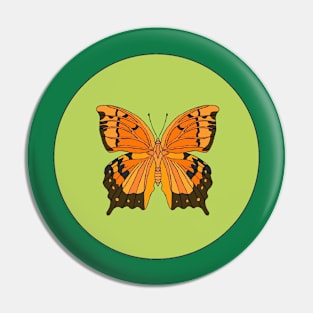 Florida Leafwing Butterfly Pin