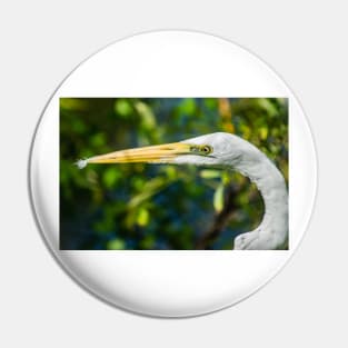 Great white egret Pin