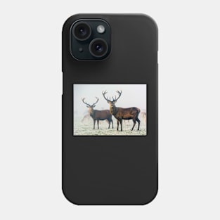 Red Deer Stags in Mist Phone Case