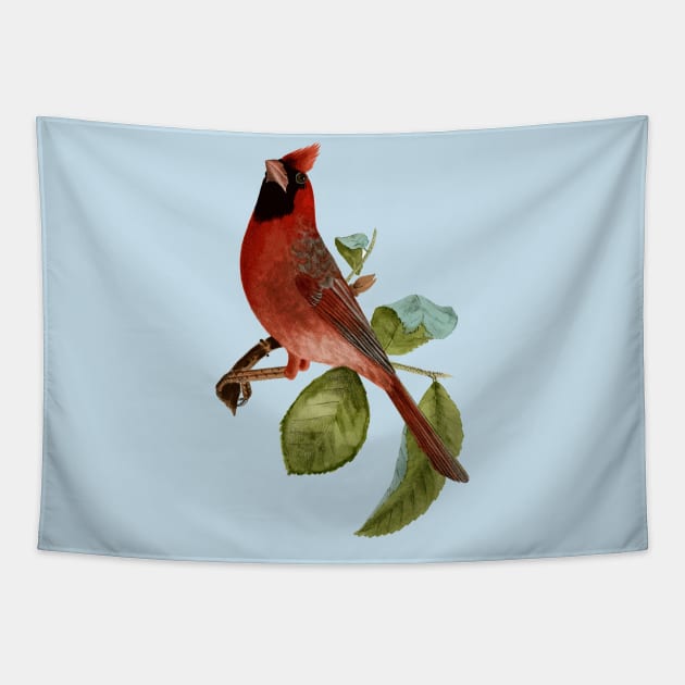 Beautiful Vintage Red Cardinal Bird Illustration Tapestry by DankFutura