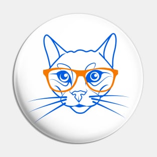 Cute cat in orange and blue Pin