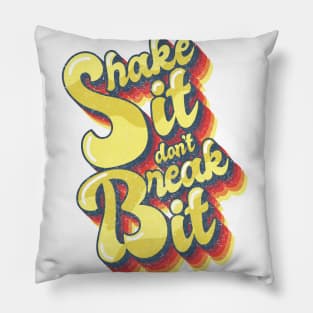 Shake it Don't Break it. Pillow