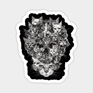 Cat Skull Histories Magnet