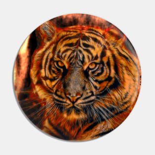 Fire tiger color power Pin