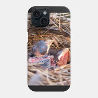 Two Baby Northern Cardinals In Their Nest. Phone Case