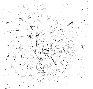 Stay Strong Black Man Magnet