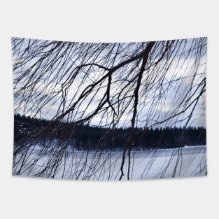 Cold winter day Tapestry