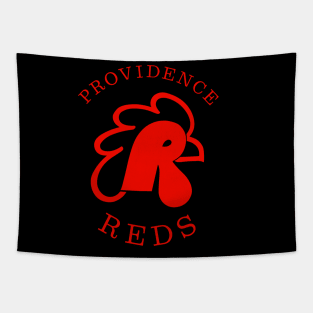 Defunct Providence Reds Hockey AHL 1977 Tapestry