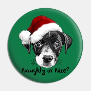 Naughty or Nice Pin