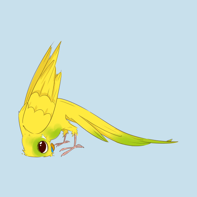 Budgie Budge by kyjanedalley